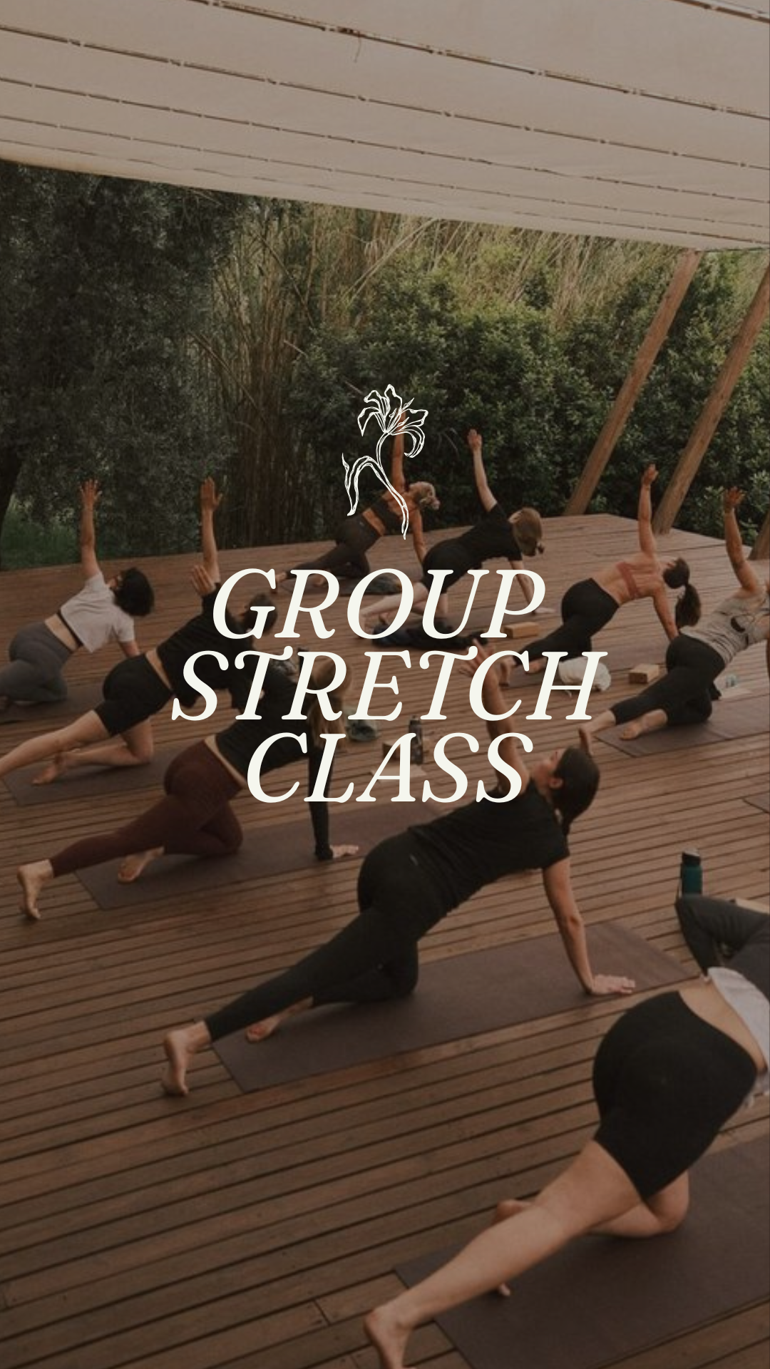 Monthly Stretch Pass